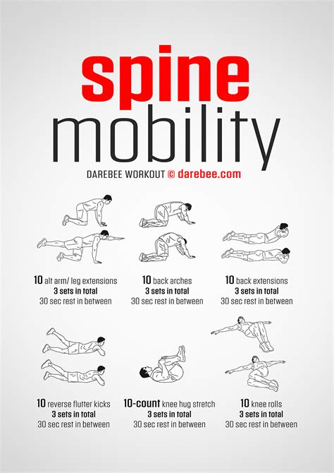 Improve Spinal Mobility Exercises