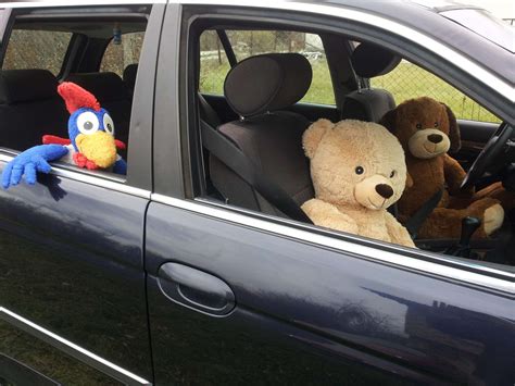 5 Stuffed Animal Car Hacks