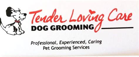 5 Tips TLC Dog Grooming
