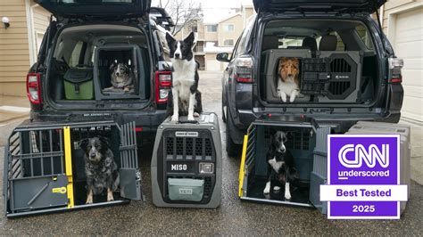 The Best Crash Tested Dog Crates In 2025 Tried And Tested Cnn The Best Crash Tested Dog Crates In 2025 Tried And Tested Cnn
