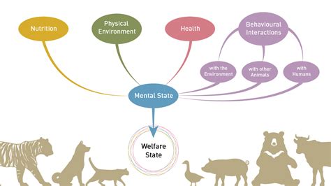 The Five Domains Model In Eu Animal Welfare Legislation Four Paws In The Five Domains Model In Eu Animal Welfare Legislation Four Paws In