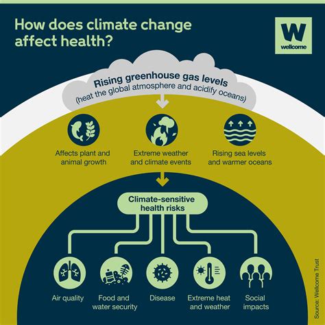 The Health Effects Of Climate Change Explained News Wellcome The Health Effects Of Climate Change Explained News Wellcome