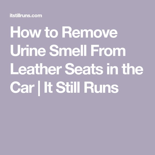 The Text How To Remove Urine Smell From Leather Seats In The Car It The Text How To Remove Urine Smell From Leather Seats In The Car It