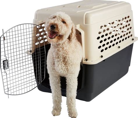 These Dog Travel Crates Are Ready To Go Wherever You Go These Dog Travel Crates Are Ready To Go Wherever You Go