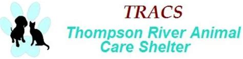 5 Ways Thompson River Shelter Helps Animals