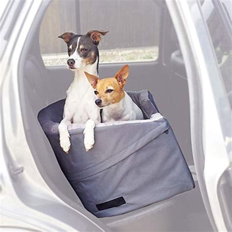 5 Tips For Two Dog Car Seat