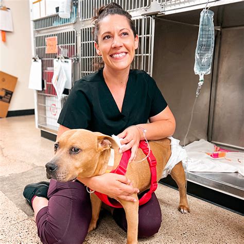 5 Tips Vancouver Pet Urgent Care
