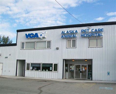 5 Tips VCA Alaska Pet Care 5 Tips VCA Alaska Pet Care