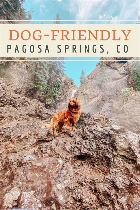 Visiting Pagosa Springs Co Dog Friends Dogs Best Dogs Visiting Pagosa Springs Co Dog Friends Dogs Best Dogs