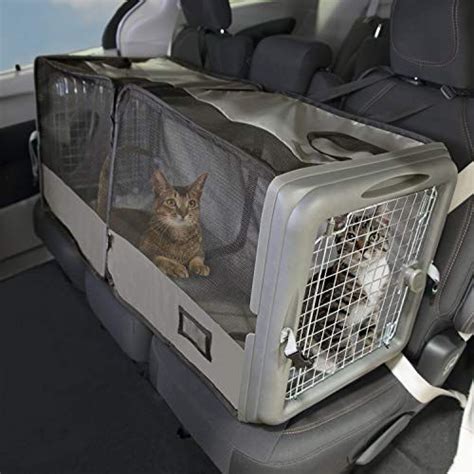 Where To Put The Carrier In Your Car Cat Parenting Camping With Cats Where To Put The Carrier In Your Car Cat Parenting Camping With Cats