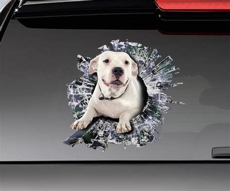 White Pitbull Window Sticker Car Decoration Window Pet Etsy White Pitbull Window Sticker Car Decoration Window Pet Etsy