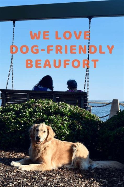 Why We Love To Visit Beaufort South Carolina With Our Dog Dog Why We Love To Visit Beaufort South Carolina With Our Dog Dog